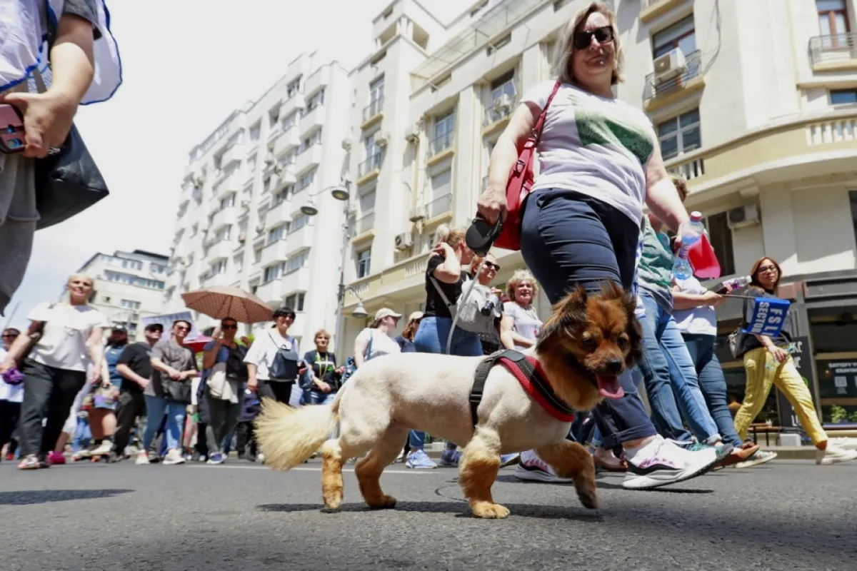 Salariul mediu net a crescut cu aproximativ 14% într-un an