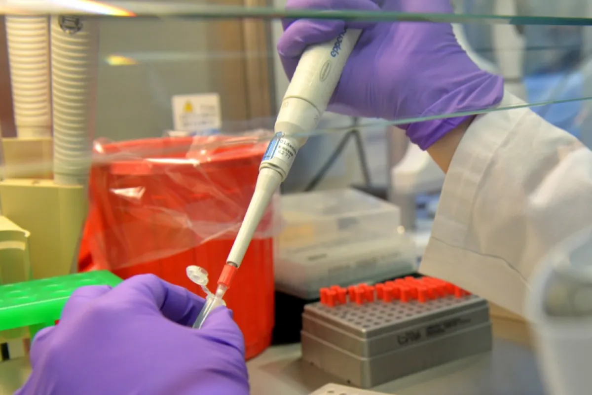 România a aderat la Proiectul European pentru Infrastructura de Date Genomice