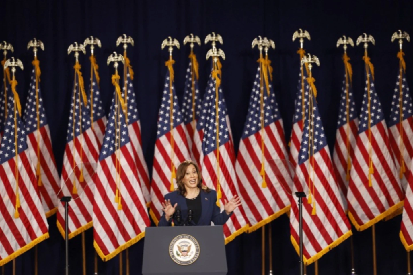 Kamala Harris, noua țintă a dezinformărilor preelectorale din SUA