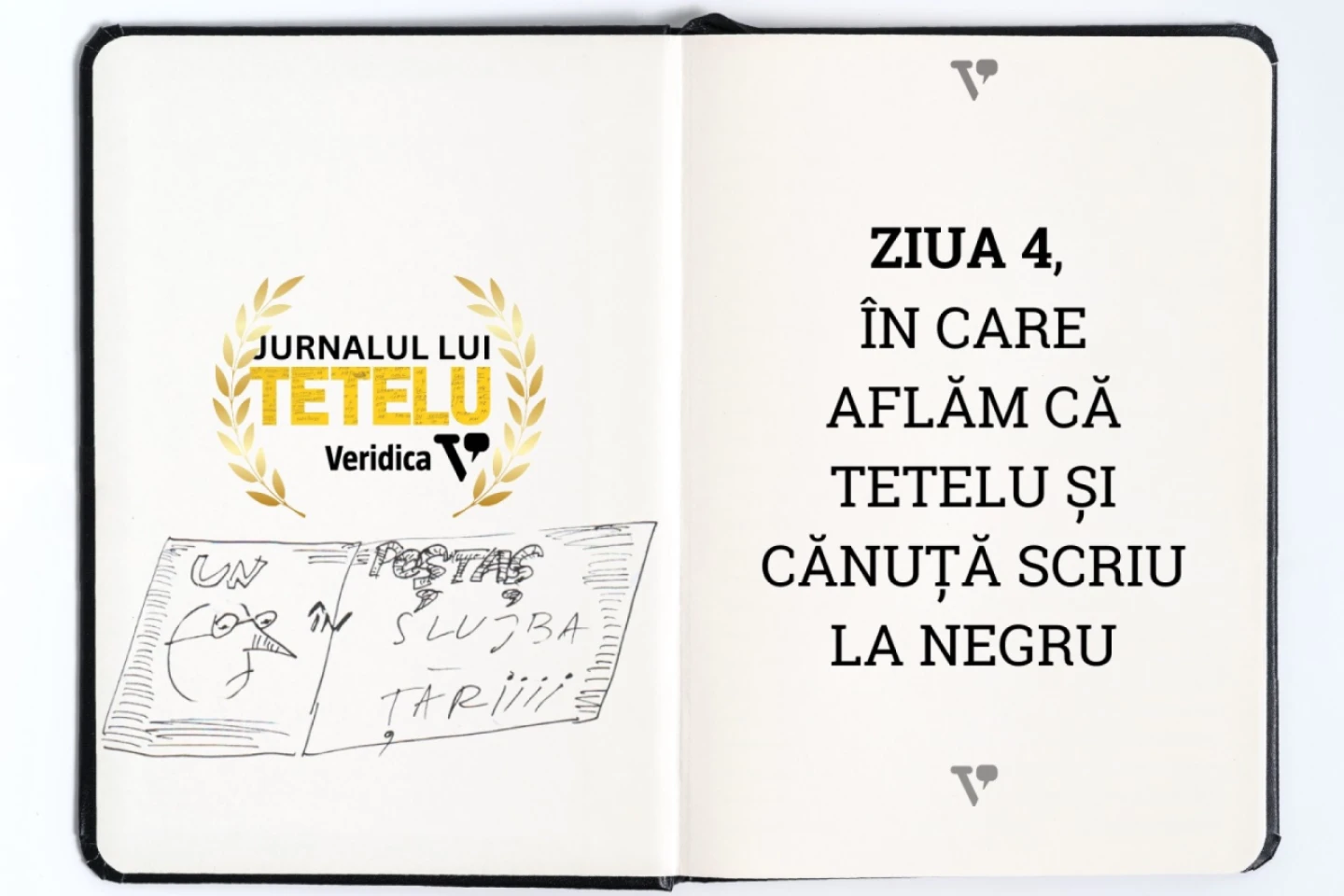 Ziua 4