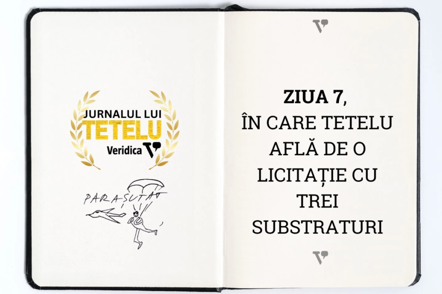 Ziua 7: Tetelu află de o licitație cu trei substraturi