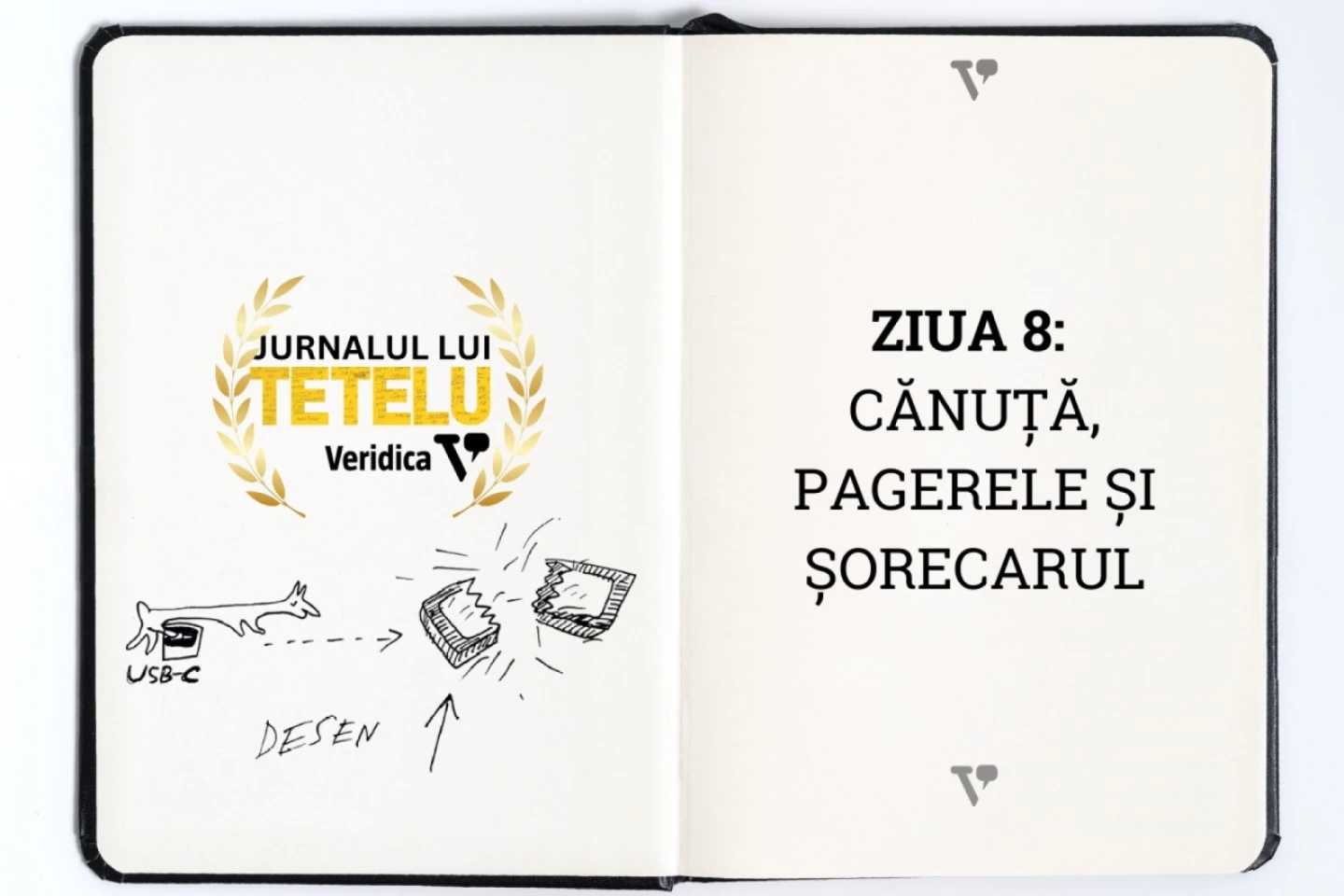 Ziua 8: Cănuță, pagerele și șorecarul