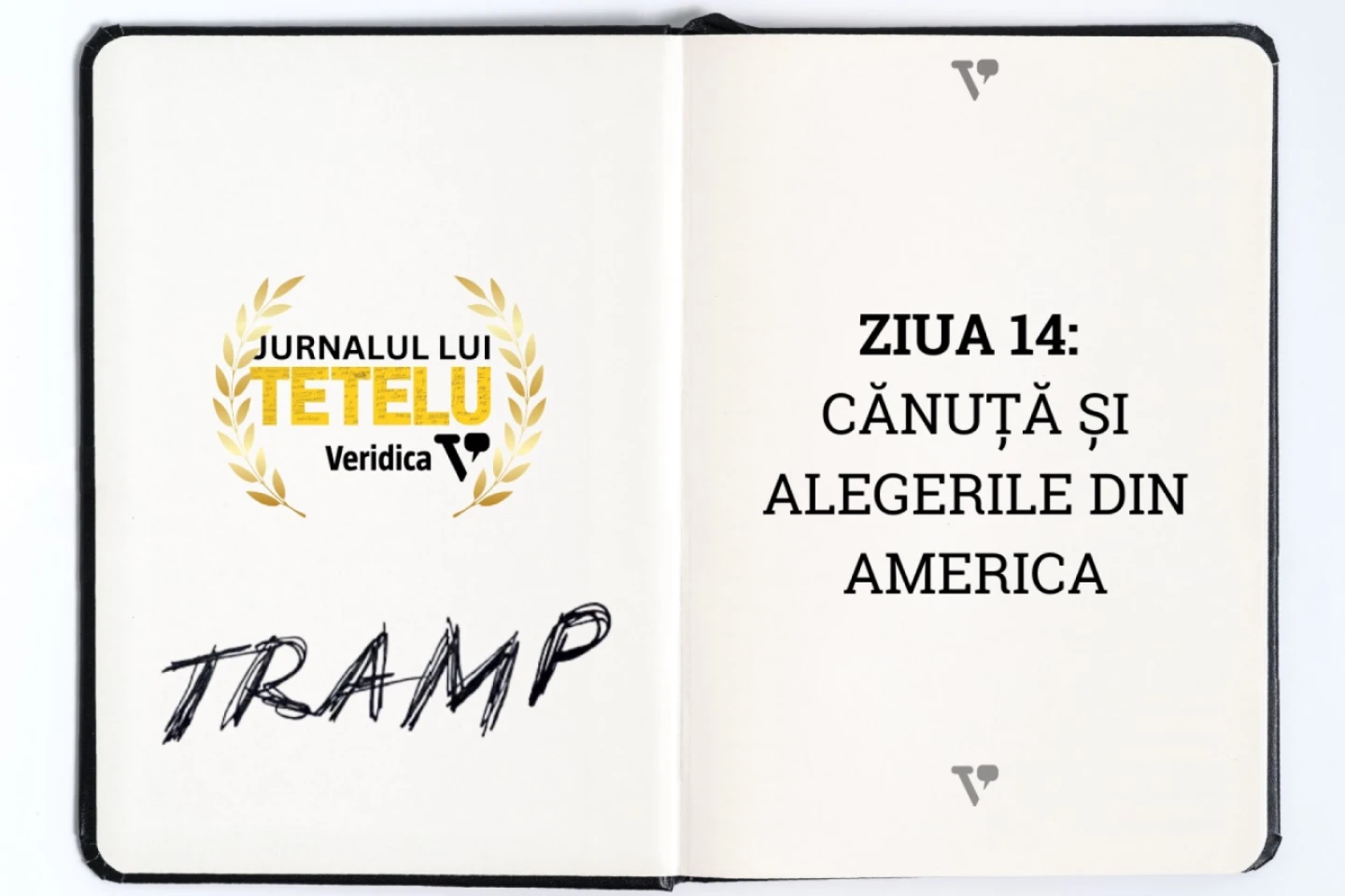 Cănuță și alegerile din America