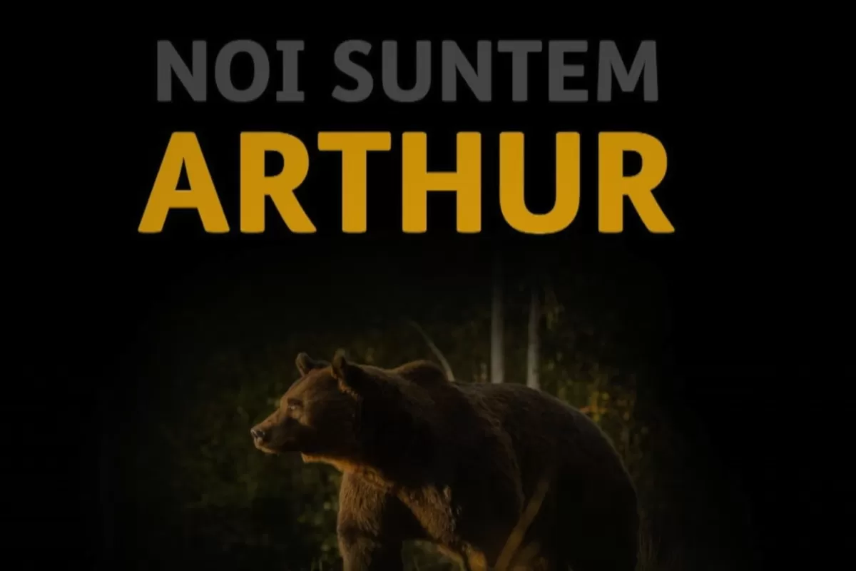 Breaking Fake News! The death of the bear Arthur (TVR 1)