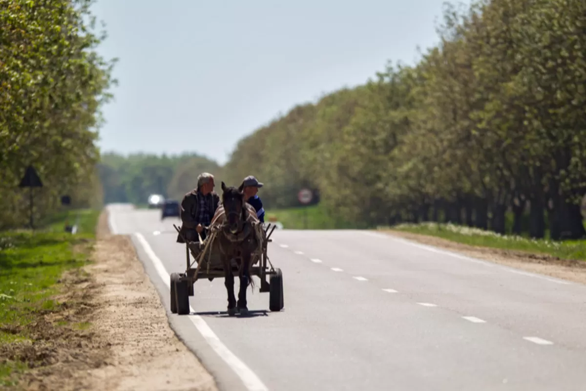 FAKE NEWS: Guvernarea PAS lasă agricultura din Republica Moldova fără forță de muncă