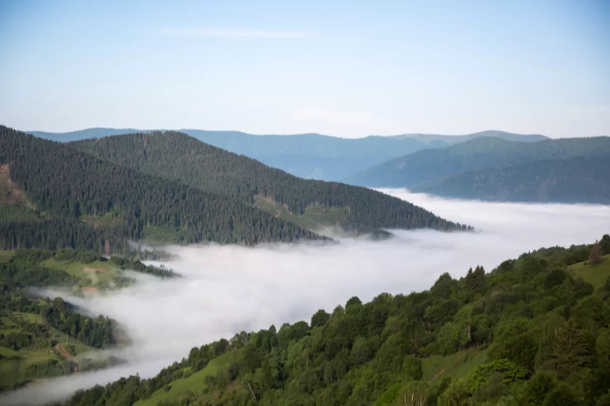 Parchetul antimafia din România a prins două călăuze de migranți, cu dublă cetățenie, română și ucraineană