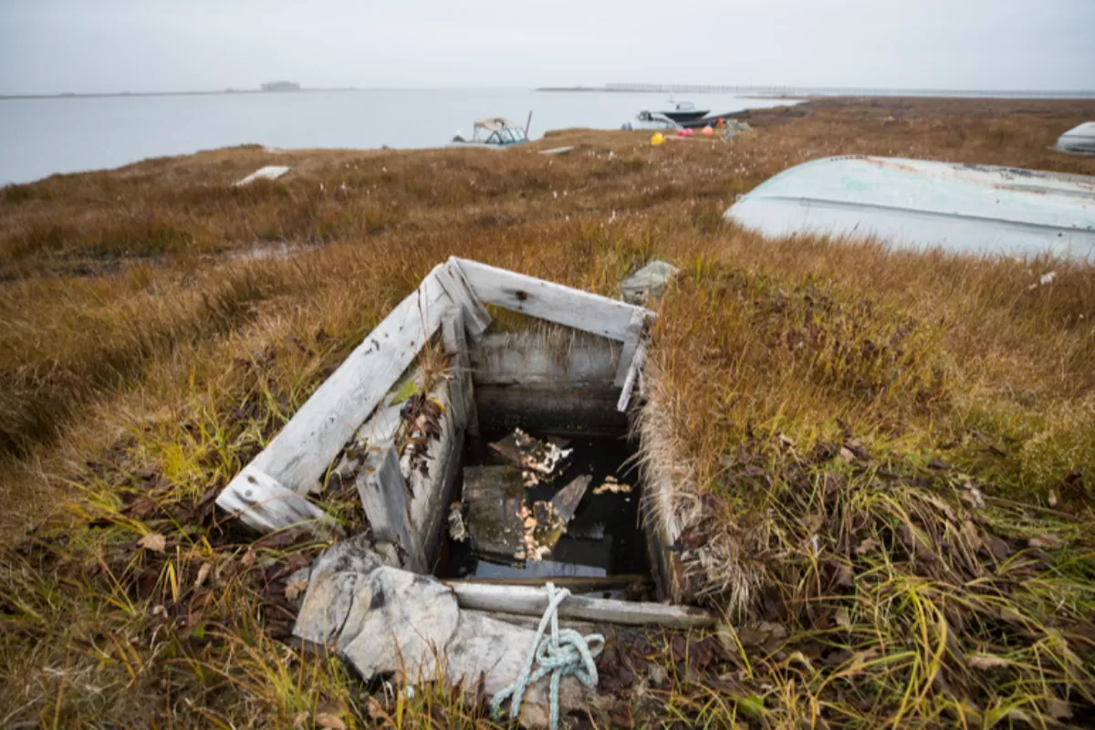 Când carbonul scapă de sub control. Mai poate omul să oprească schimbările climatice catastrofale?