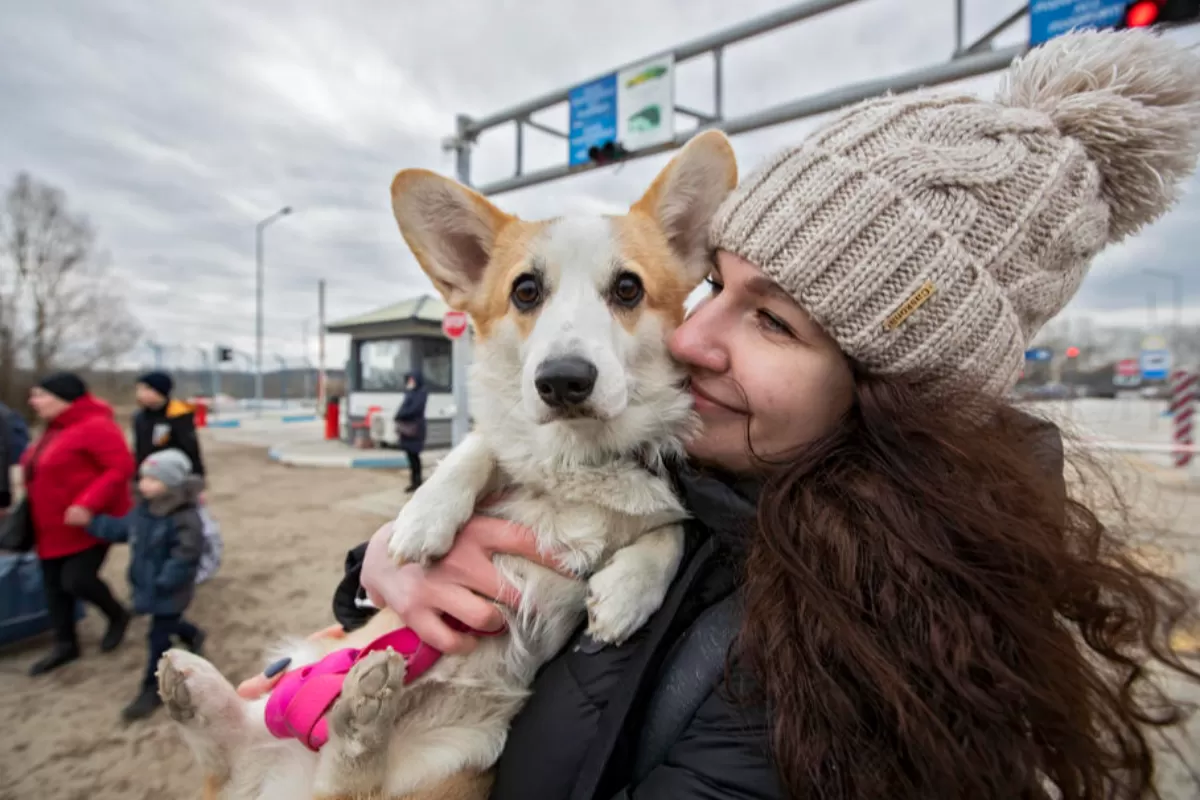 RĂZBOI ÎN UCRAINA: Aproape un milion de oameni s-au întors acasă