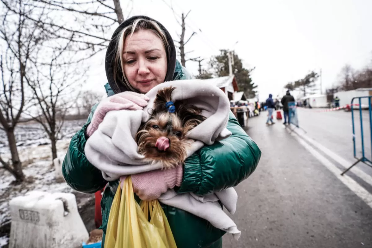 RĂZBOI ÎN UCRAINA: Scădere ușoară a numărului de oameni care fug în România