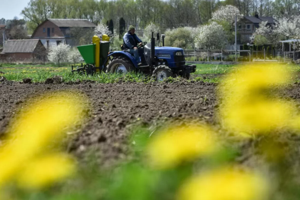 Scade prețul mondial al alimentelor de bază, după scumpirea istorică din martie