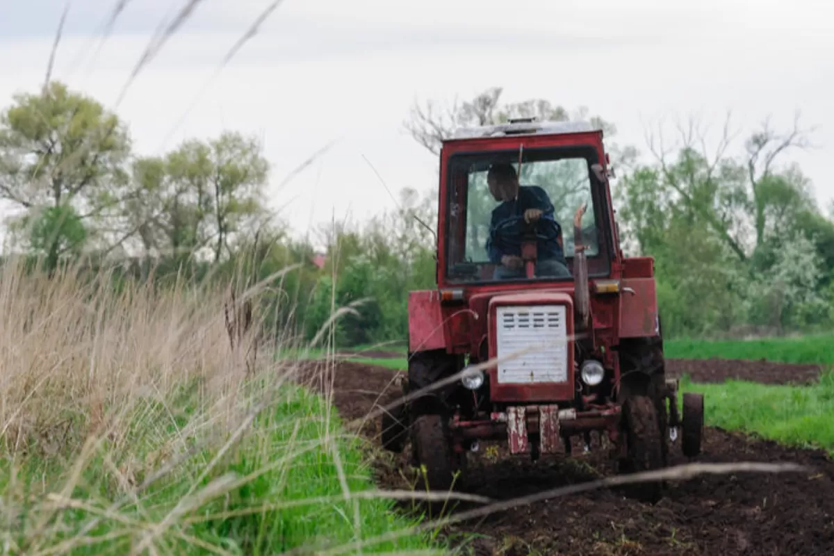 Ucraina respinge posibilitatea de a exporta cereale prin Belarus