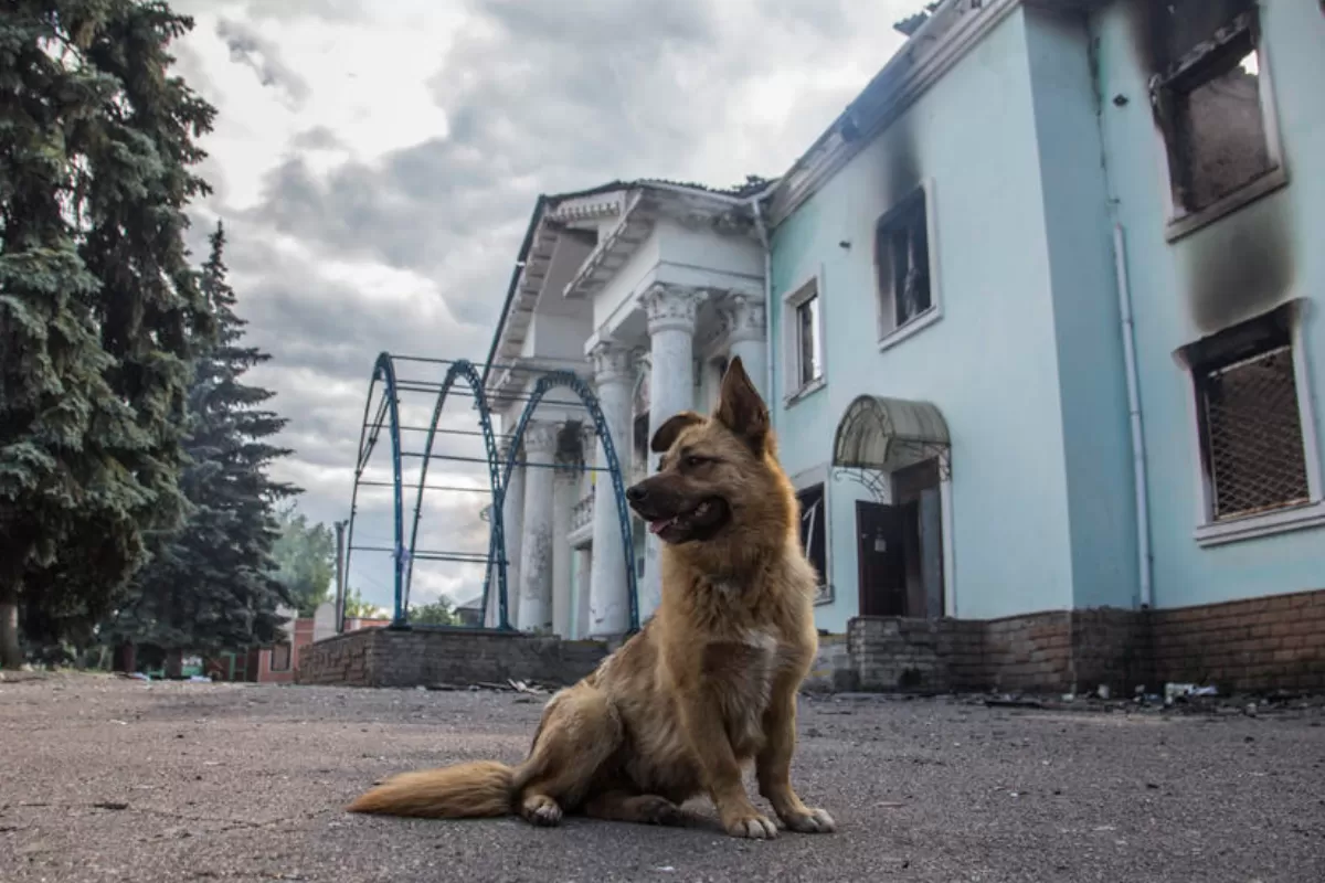 RĂZBOI ÎN UCRAINA: Trupele ruse au fost gonite din satele de lângă Severodonețk