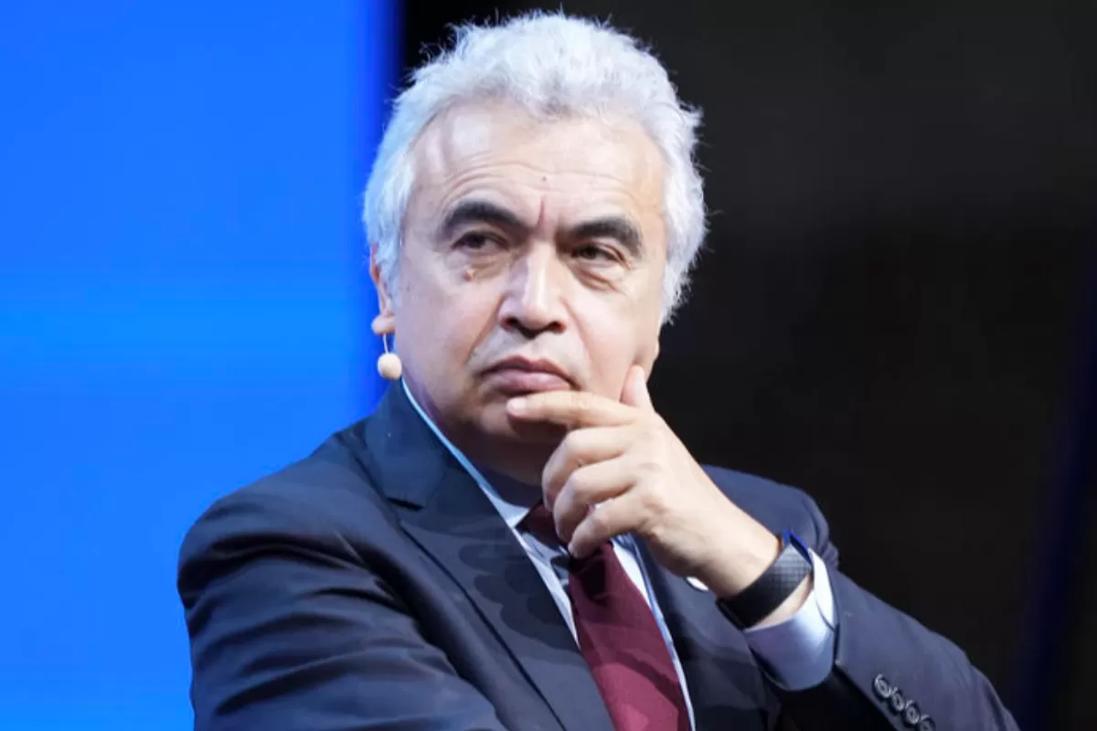 Responsabili OECD avertizează că Europa are nevoie de planuri de urgență pentru consumul de gaze.