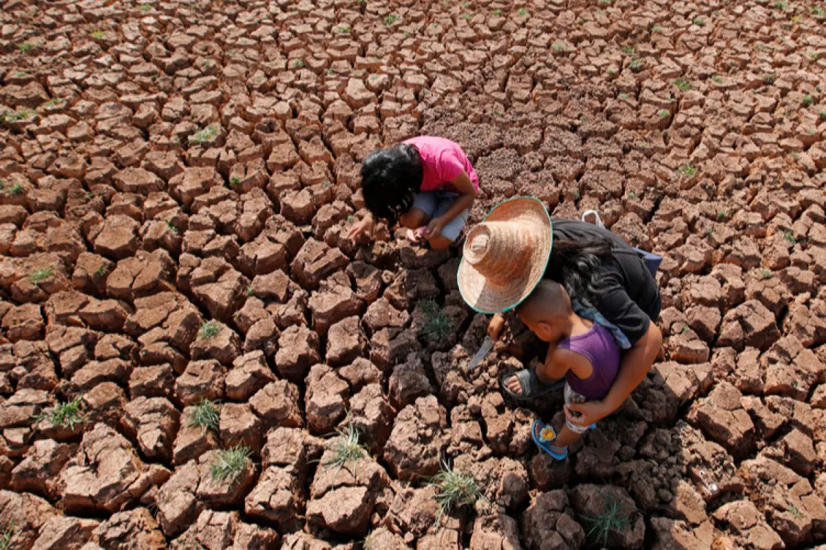 Omul consumă resursele Pământului de două ori mai repede decât le poate produce natura
