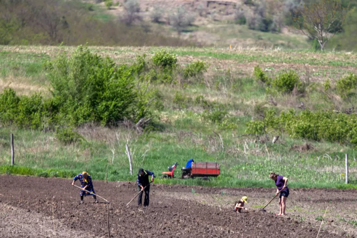 DEZINFORMARE: Regimul sovietic nu a organizat foametea din Basarabia