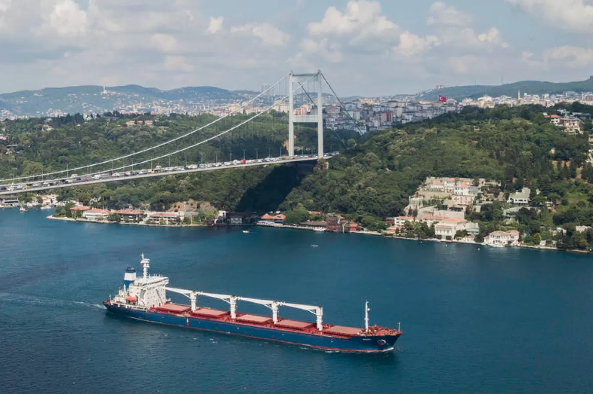 RĂZBOI ÎN UCRAINA: Contractul de vânzare în Liban a primului transport de cereale exportat de Ucraina a fost anulat