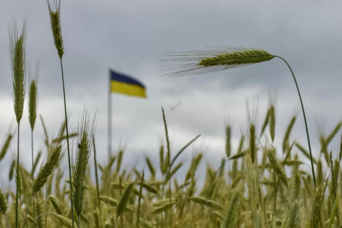 Războiul din Ucraina păstrează prețurile globale la alimente peste nivelul de anul trecut, în pofida unor luni de scădere continuă