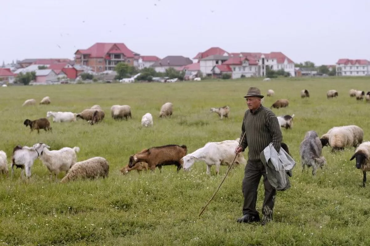 Bucureşti: fost ministru al Agriculturi, pus sub acuzare de procurorii anticorupţie