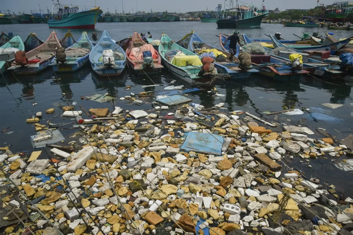 Salvarea oceanelor, o prioritate pentru economia globală și echilibrul ecologic planetar