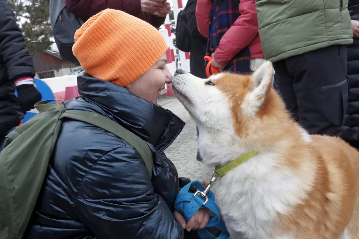 România renunţă la măsurile de flexibilitate privind accesul animalelor de companie din Ucraina