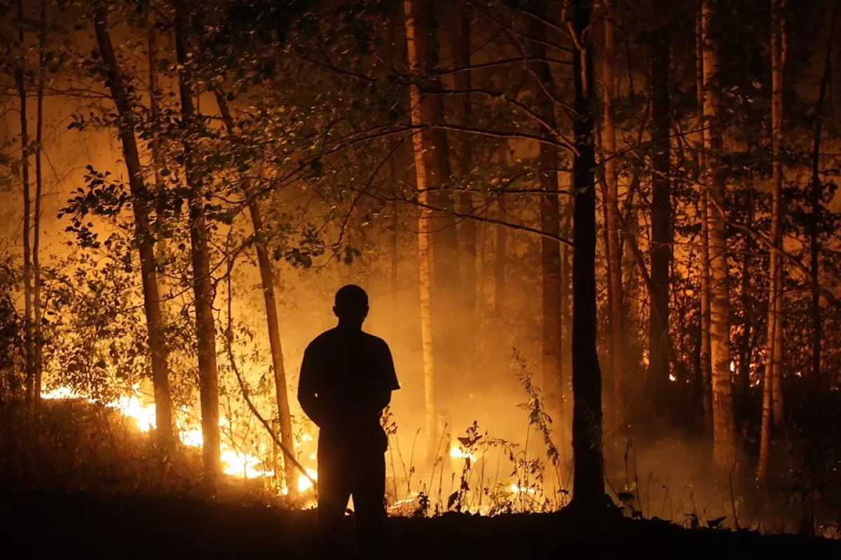 Cel puțin un rus a murit în urma incendiilor forestiere