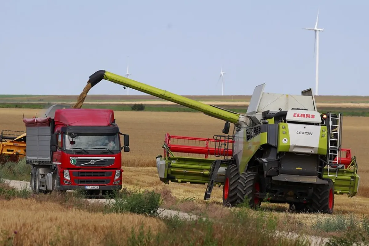 Portul Constanța este sufocat de cereale