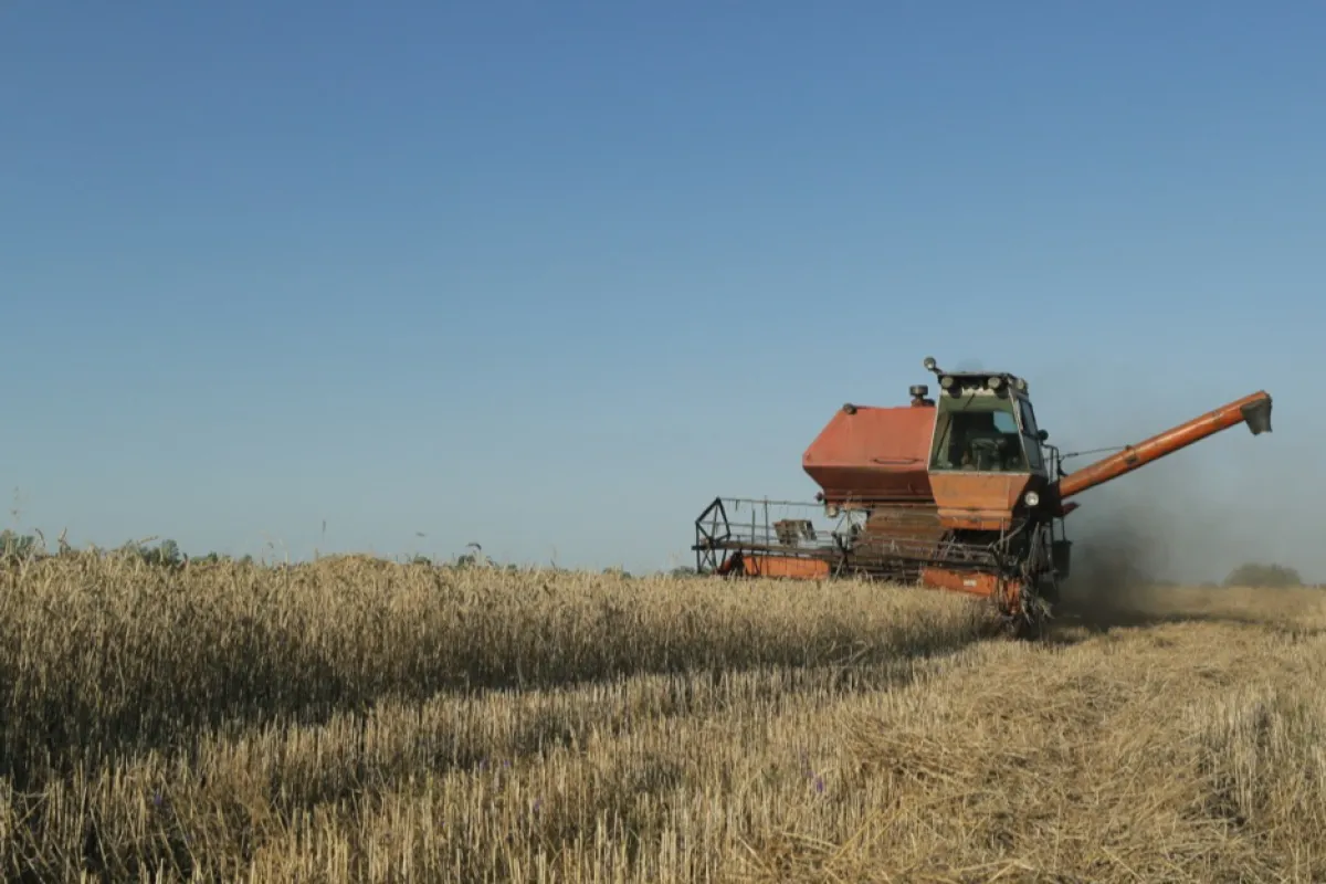 Operatorii din portul Constanța vor livra mai multe cereale ucrainene