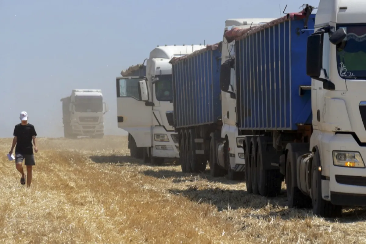 România intenționează să extindă rapid rutele de tranzit pentru cerealele din Ucraina vecină