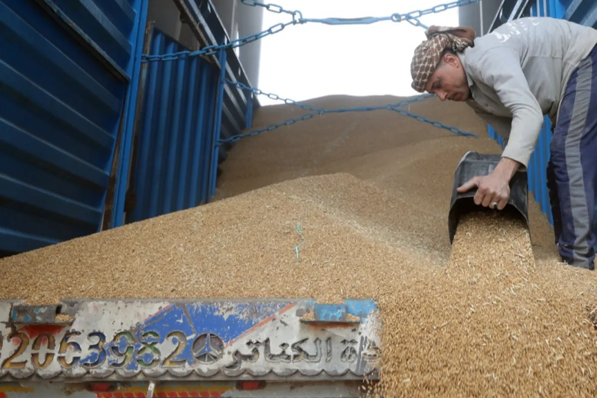 România va exporta cereale în Egipt printr-o companie de stat