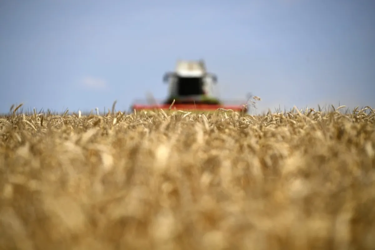 Patru țări, printre care și România, vor prelungi interdicția importului de cereale din Ucraina