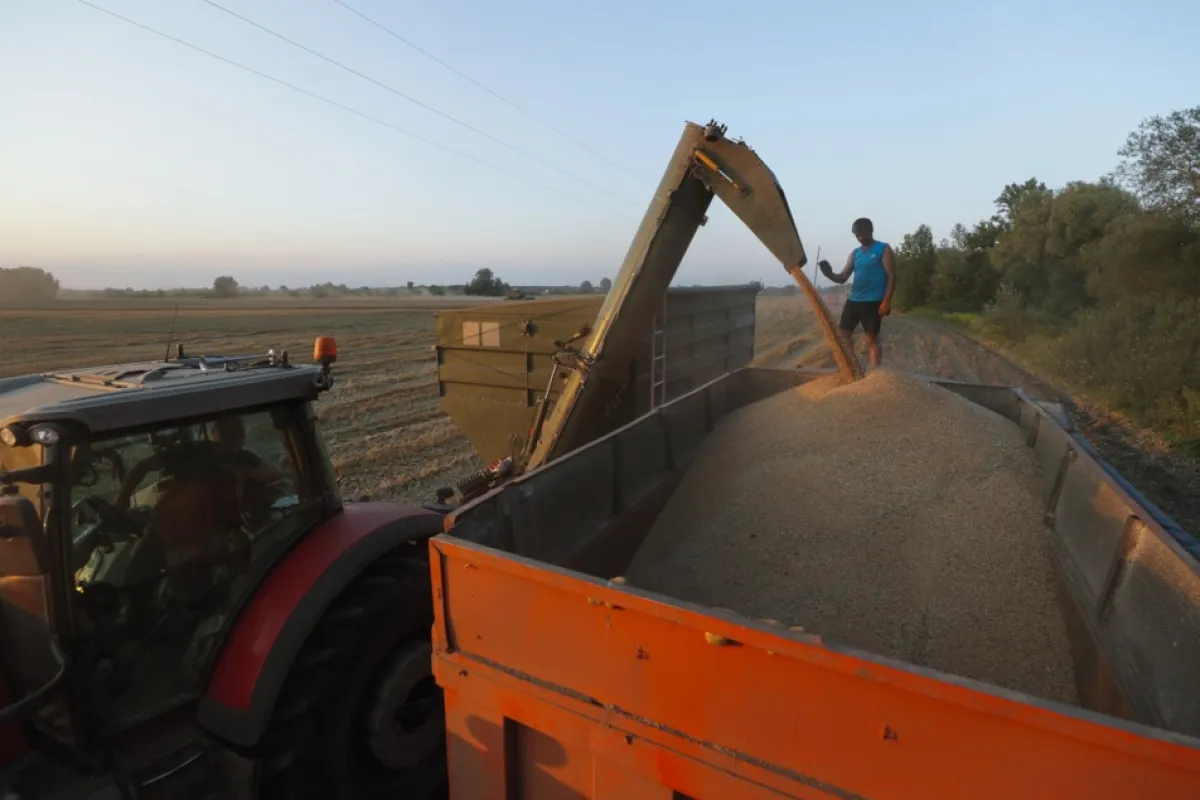 Kievul a acceptat cererile României legate de importul cerealelor ucrainene