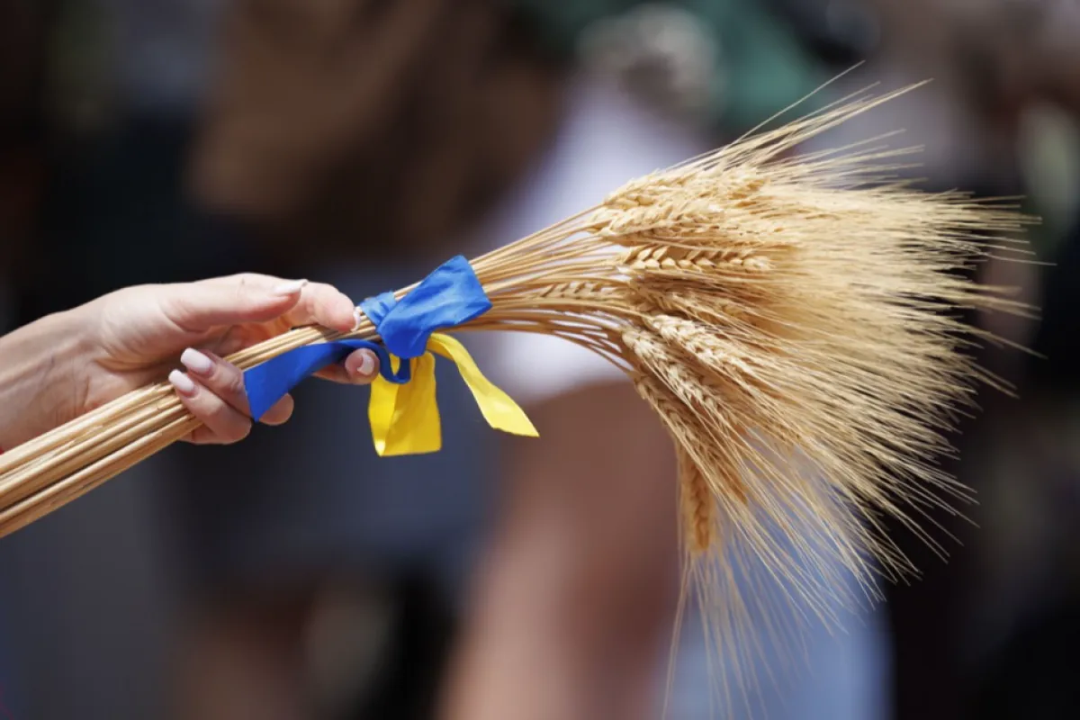 Klaus Iohannis: Importurile de cereale ucrainene în România vor fi supuse unui sistem de autorizare