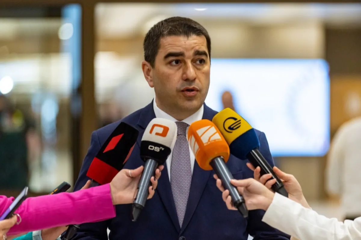 Președintele Parlamentului Georgiei, în vizită la București