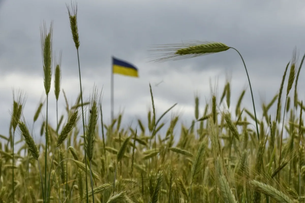 PROPAGANDĂ DE RĂZBOI: ONU spune că Ucraina amenință securitatea alimentară globală