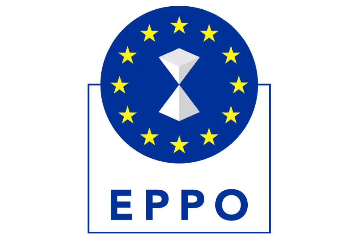 Parchetul European anchetează utilizarea abuzivă a fondurilor pentru comunitățile de romi din România