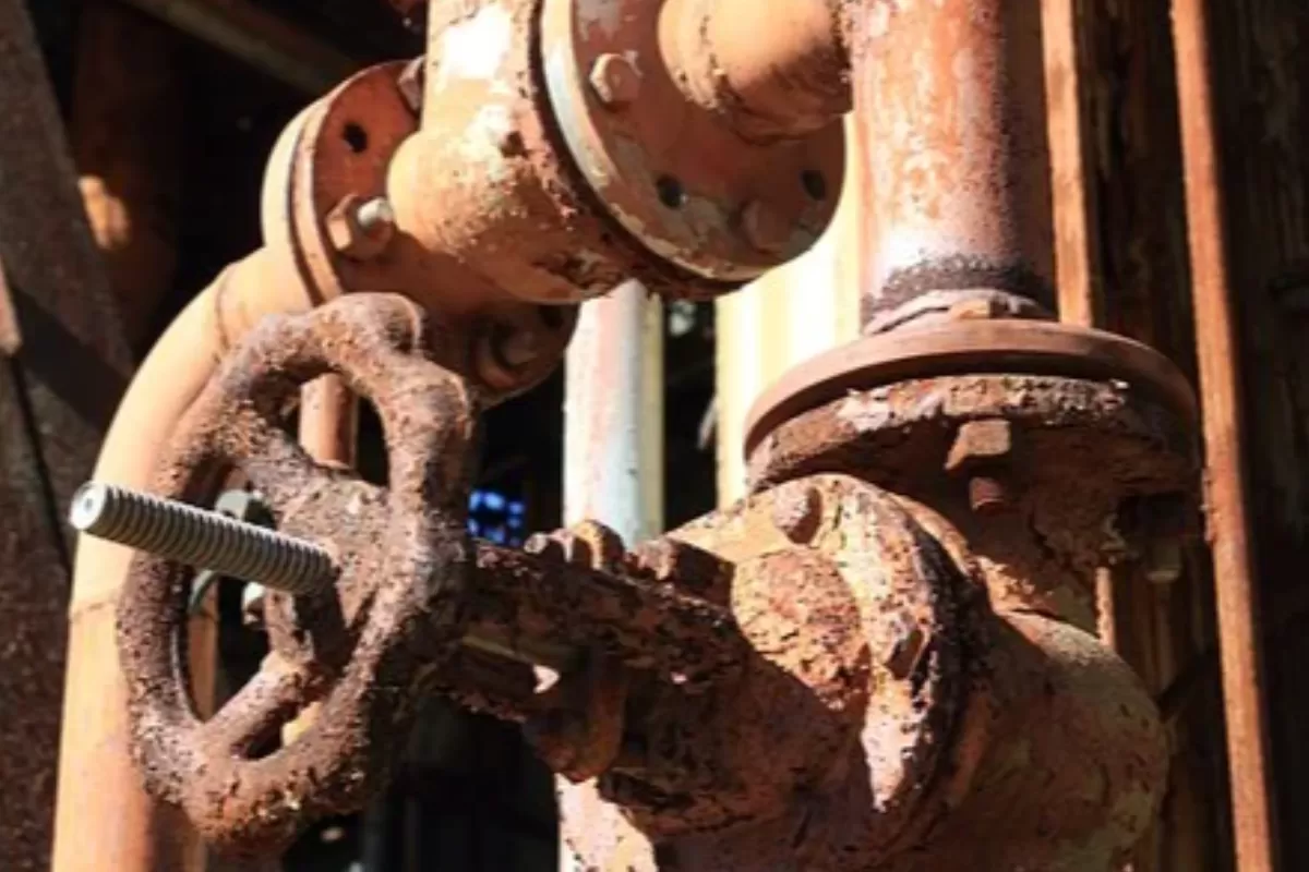 Problemele de mediu ale Bulgariei arată de ce este țara în cădere liberă