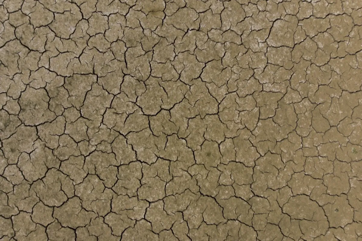 Comisia Europeană a aprobat acordarea a circa 34 de milioane de euro pentru sprijinirea României