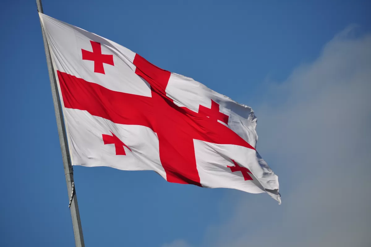 Premierul georgian Giorgi Gakharia a demisionat, după decizia justiţiei de a ordona plasarea în detenţie a unui adversar politic