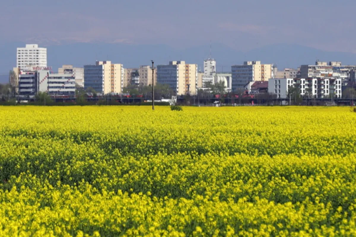 CE a aprobat modificările Planului național strategic în agricultură