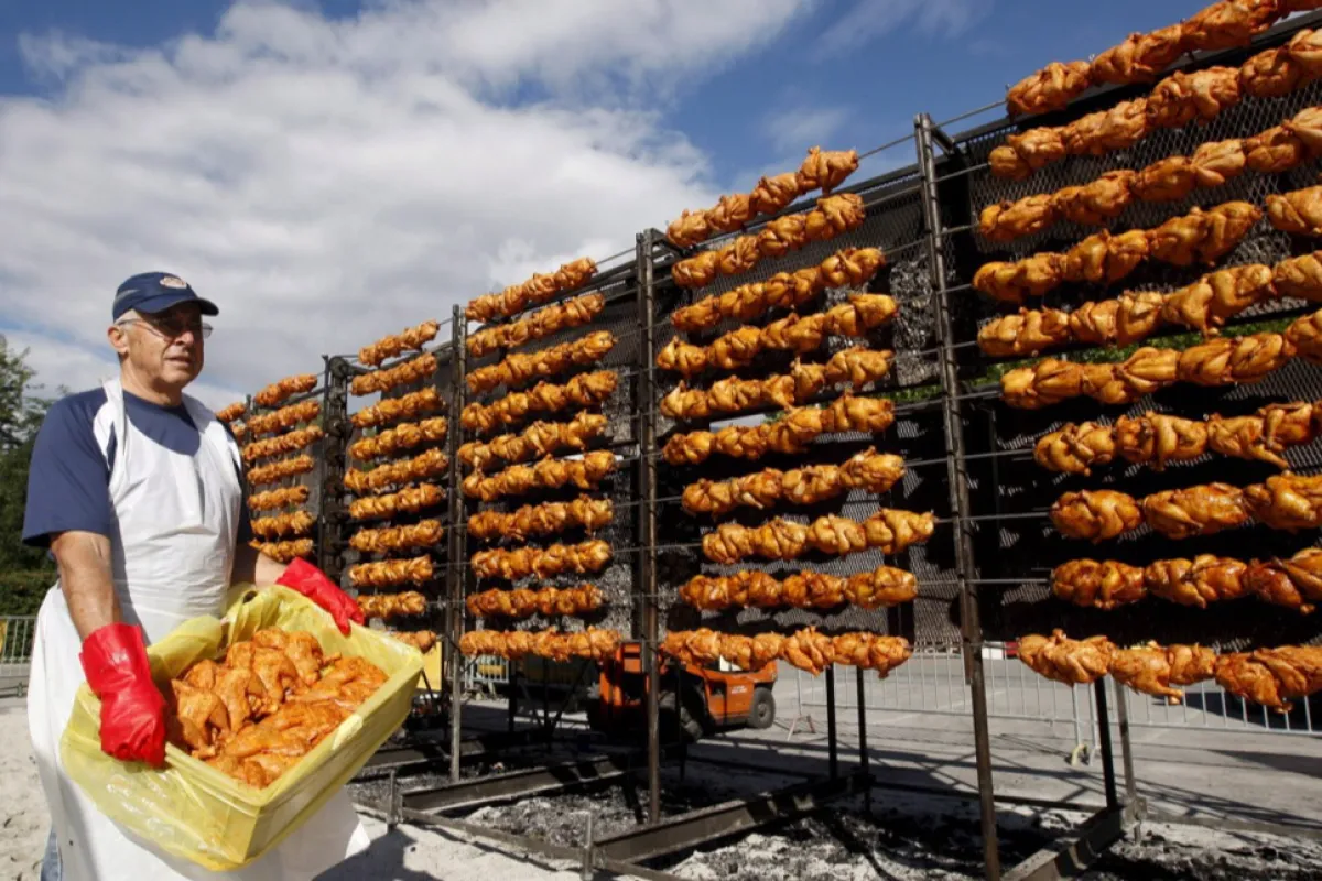 Frigărui din carne de pui livrate din România, depistate cu Salmonella în Olanda