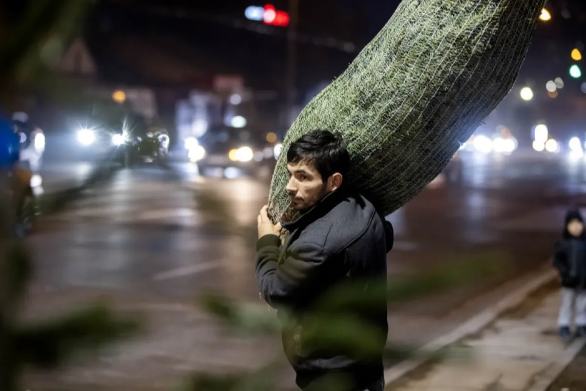 Crește numărul de solicitanți pentru cetăţenia Republicii Moldova