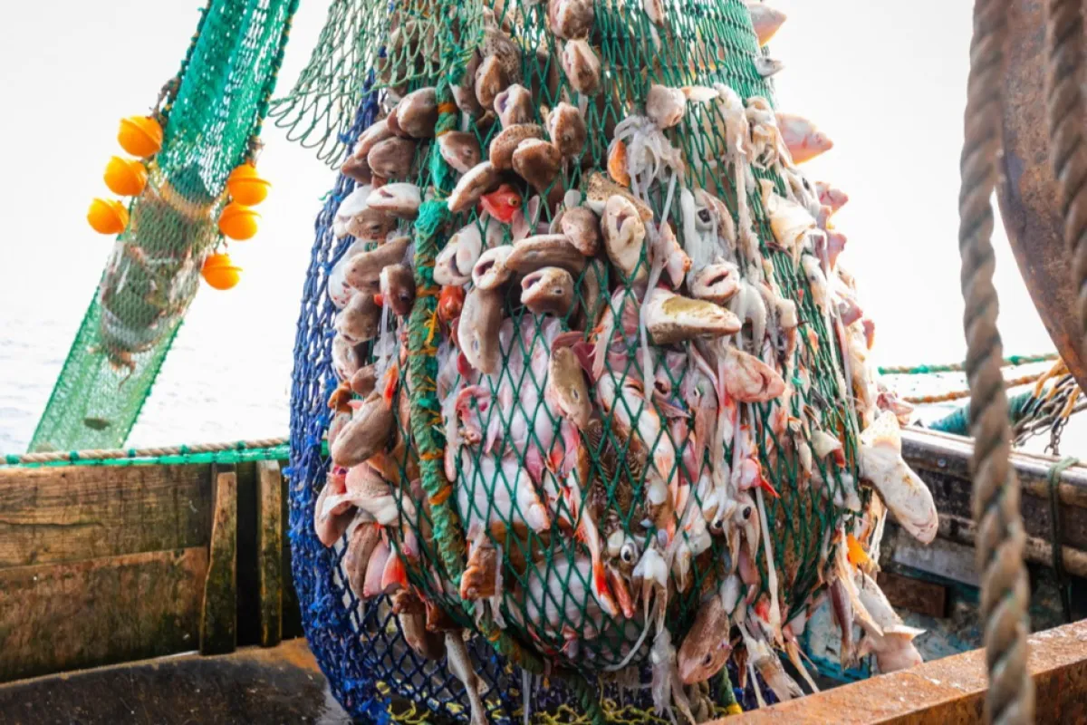 Un vas de pescuit bulgăresc, eliberat de autoritățile române, după un an