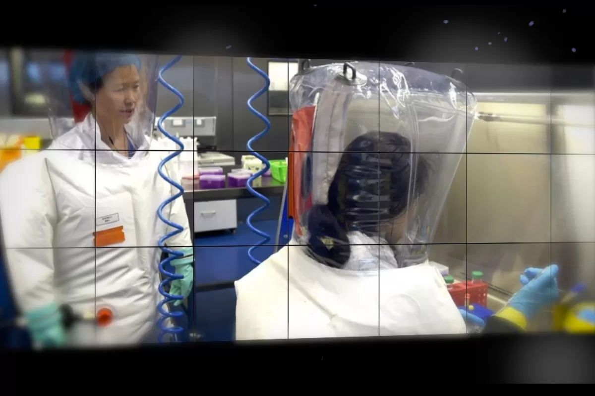 Breaking Fake News!: Teoriile privind originea coronavirusului