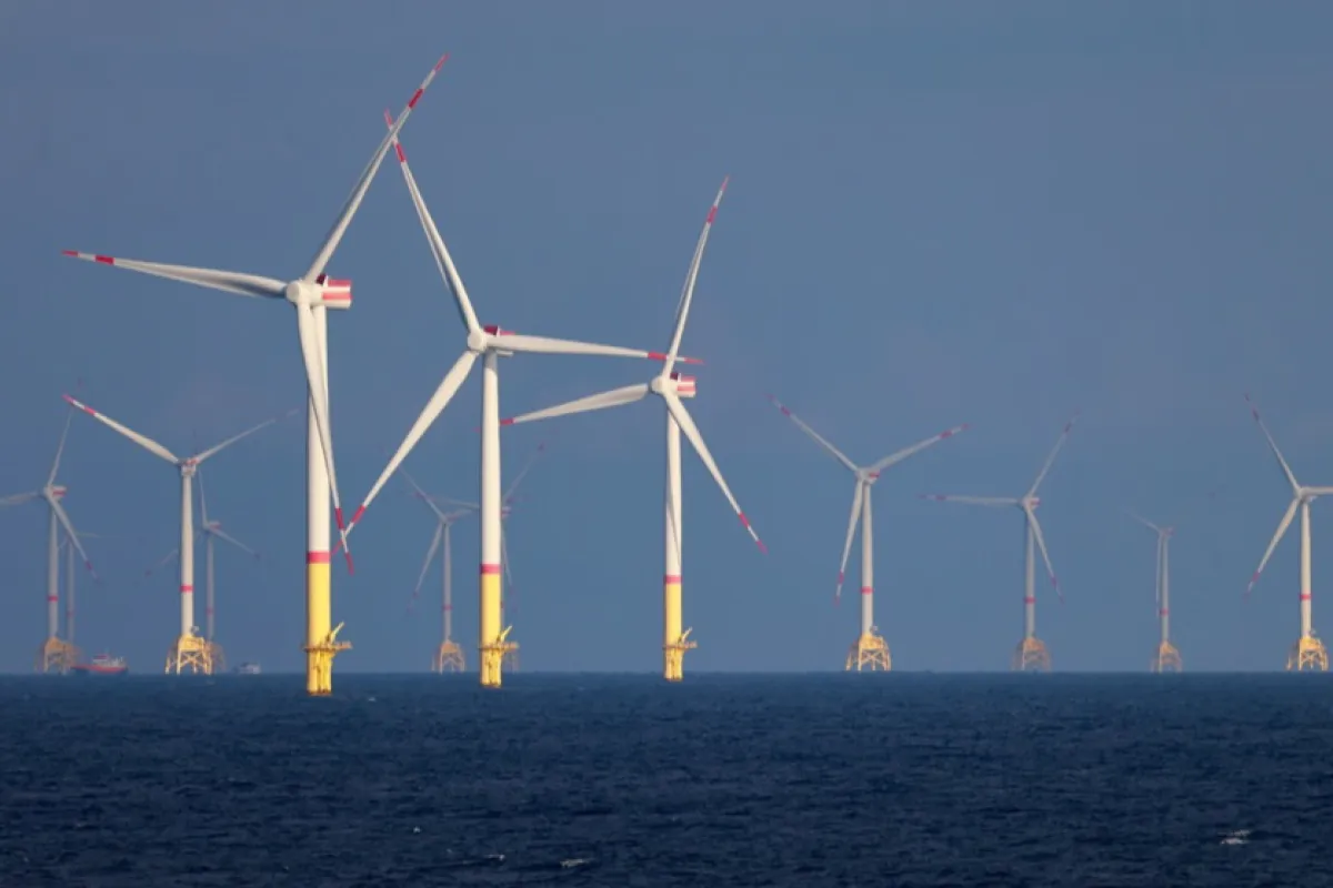 Senatul a adoptat proiectul guvernamental privind energia eoliană offshore