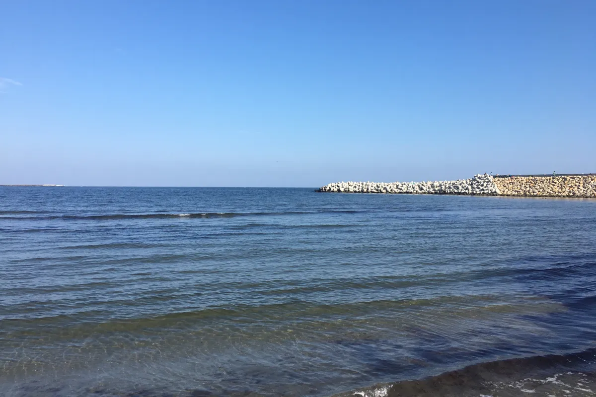 Ministrul Transporturilor anunţă investiții de peste 1 miliard de euro în dezvoltarea Portului Constanţa