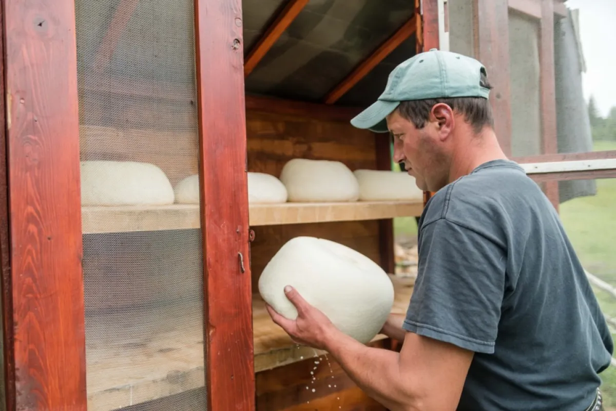 Producția de brânză a României a crescut cu aproape 40% după aderarea la UE