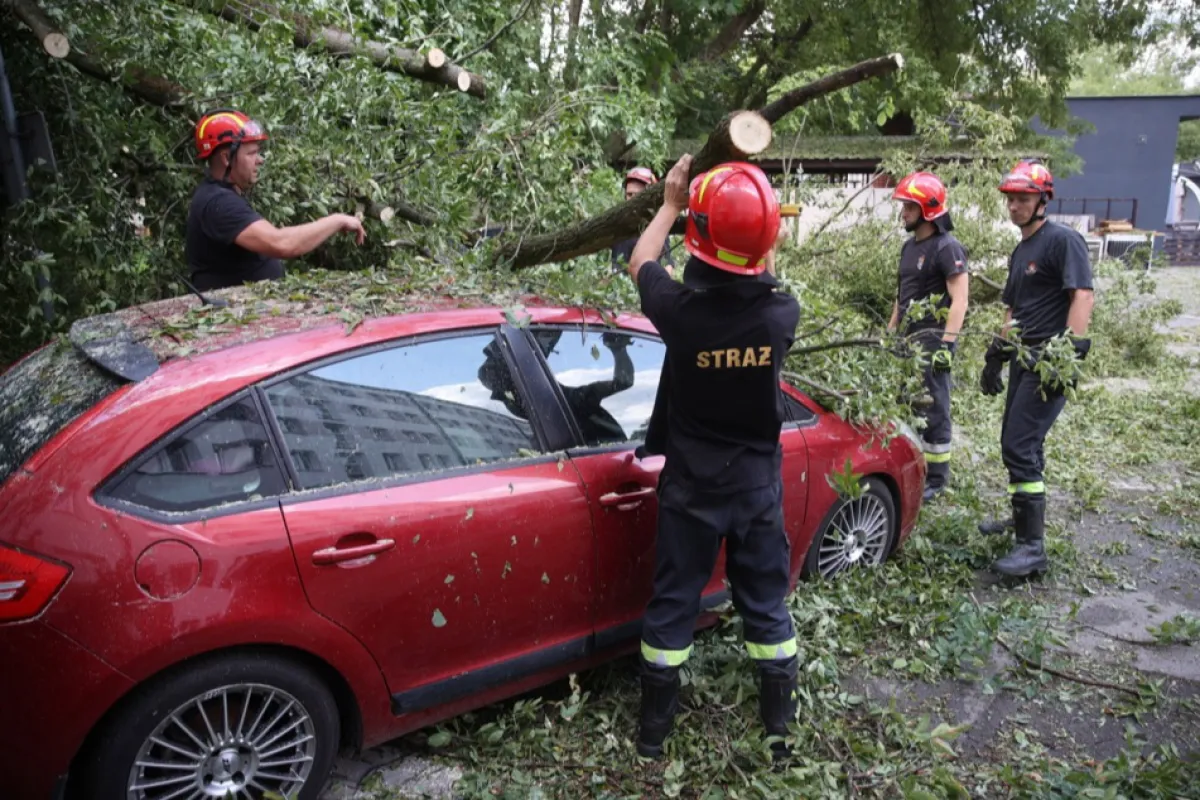 Vijelia face victime în Polonia. Alertă de vânt puternic și în România