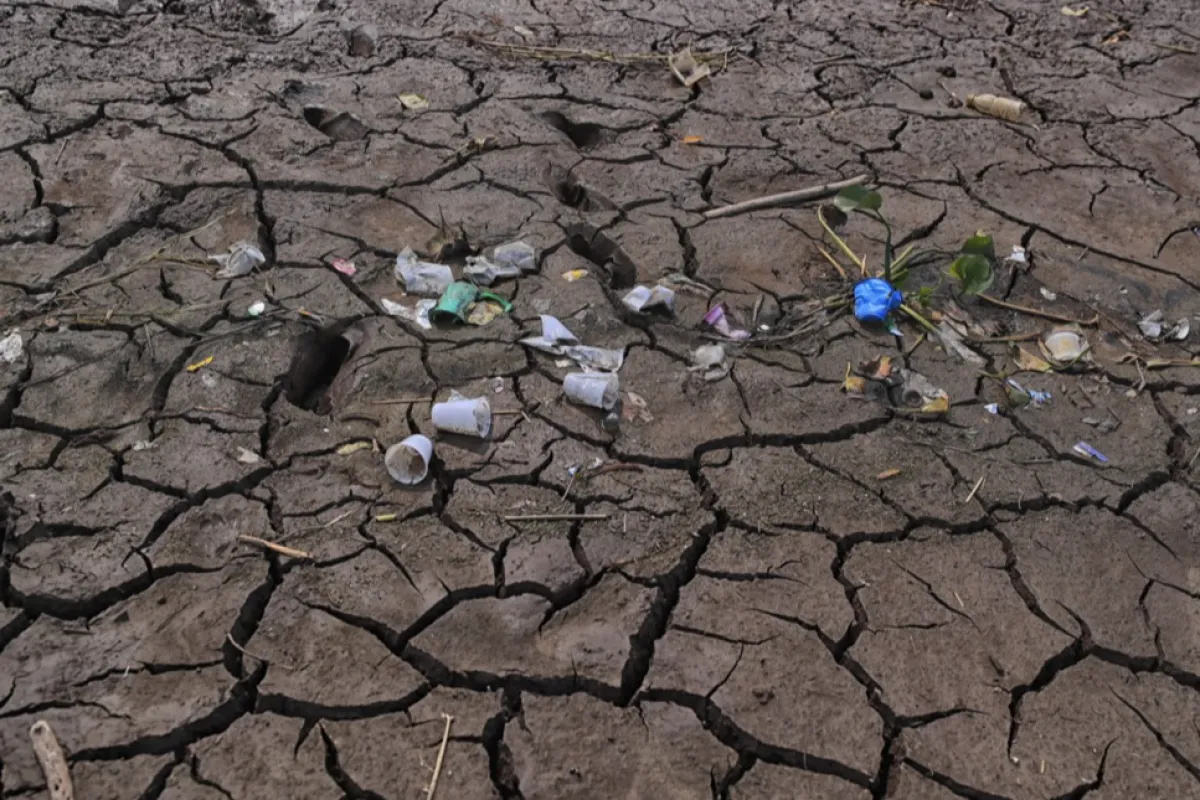 Ministrul Mediului: România pierde anual 1.000 de hectare de teren arabil