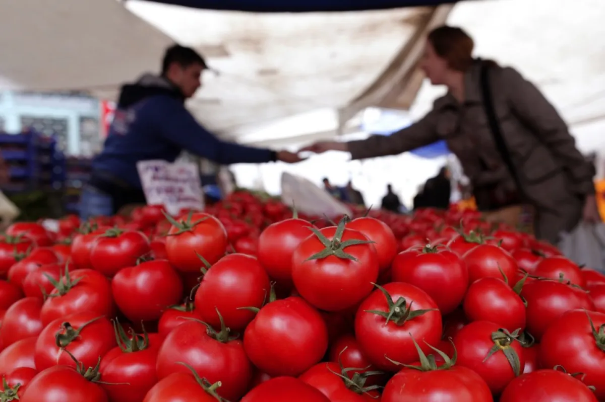 România este cel mai mare importator european de tomate din Turcia
